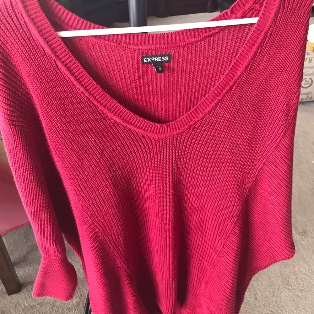 EXPRESS v-neck sweater